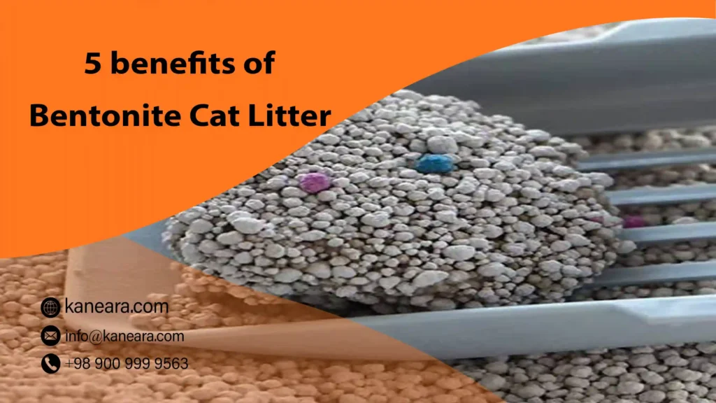 5 Benefits of Bentonite Cat Litter