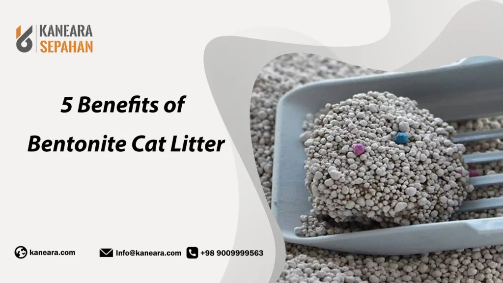 Benefits of Bentonite Cat Litter