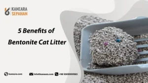 Benefits of Bentonite Cat Litter
