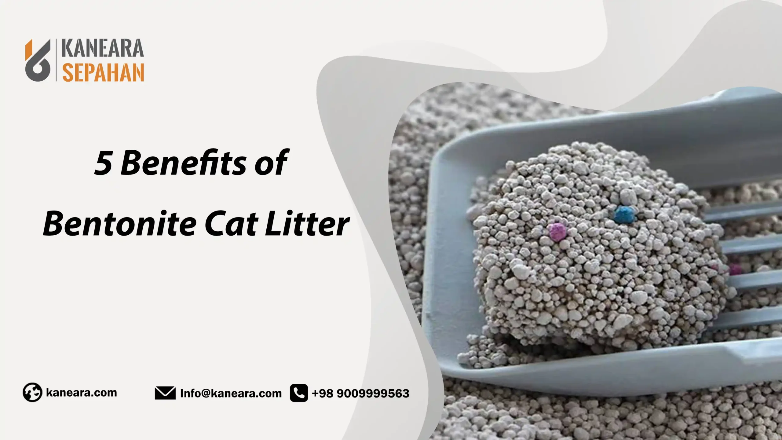 Benefits of Bentonite Cat Litter