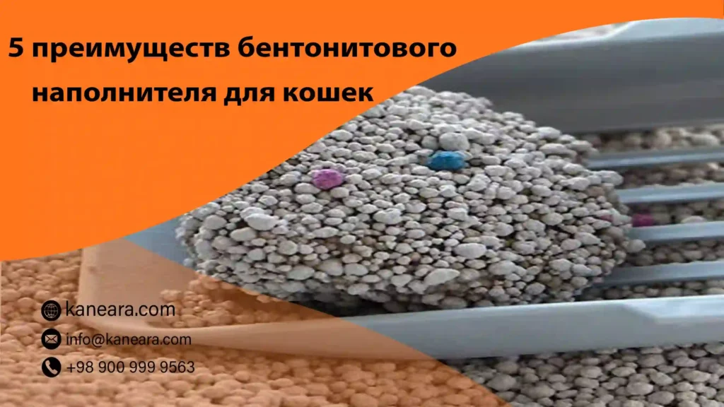 преимуществ бентонитового наполнителя для кошек