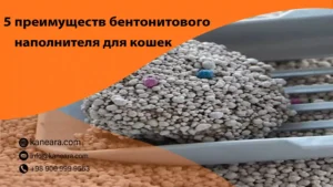 преимуществ бентонитового наполнителя для кошек
