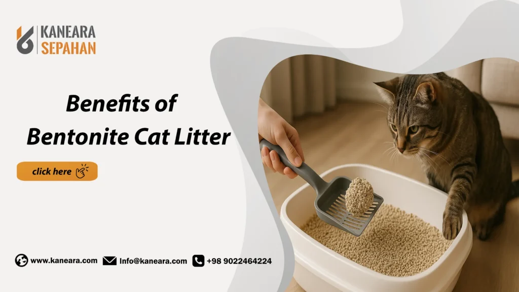 Benefits of Bentonite Cat Litter