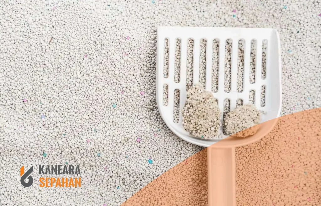 advantage of bentonite cat litter