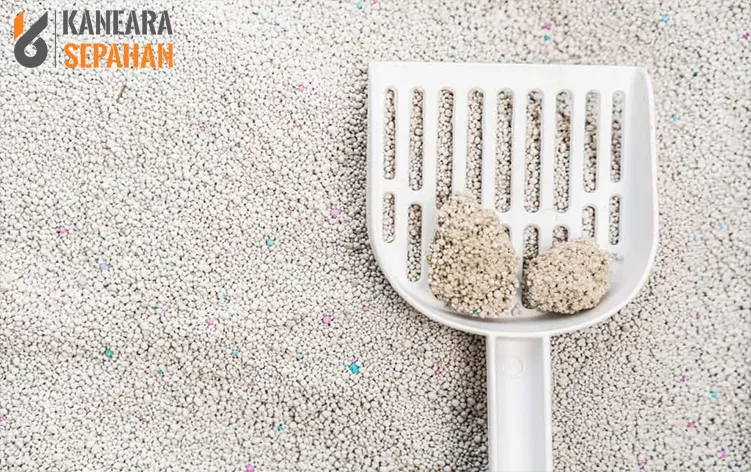 advantage of bentonite cat litter