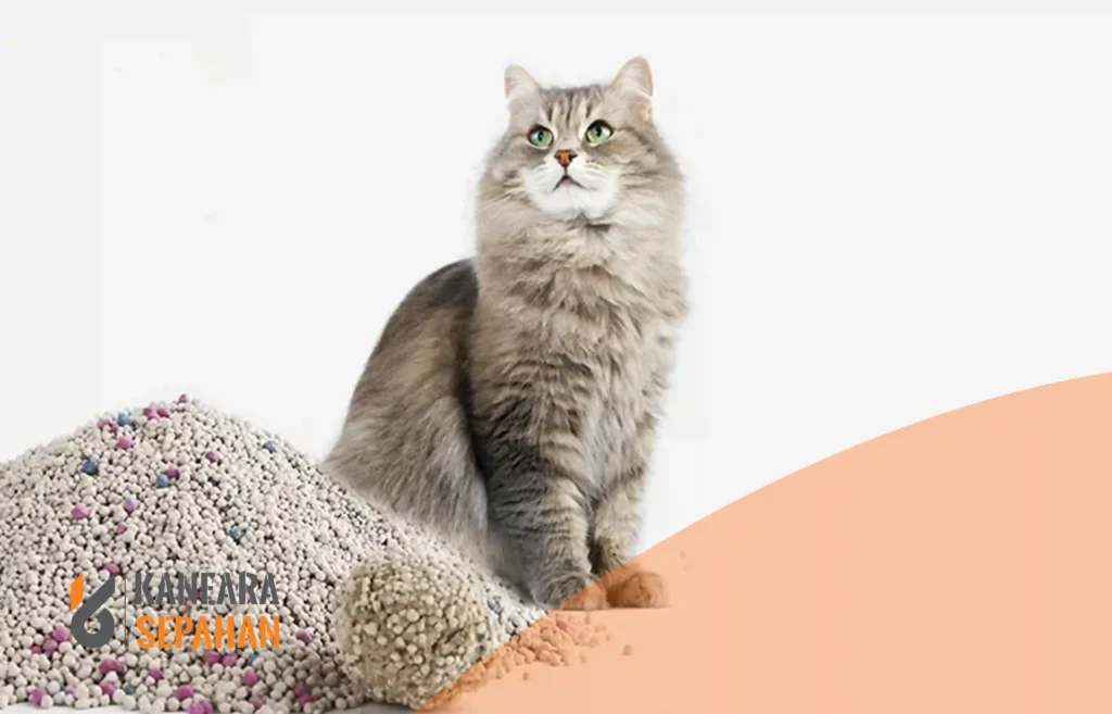 Is Bentonite Cat Litter Safe
