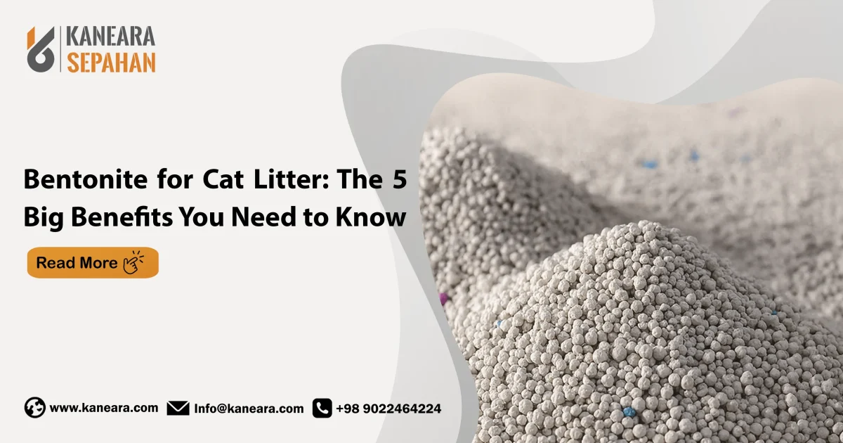Bentonite for Cat Litter: The 5 Big Benefits You Need to Know