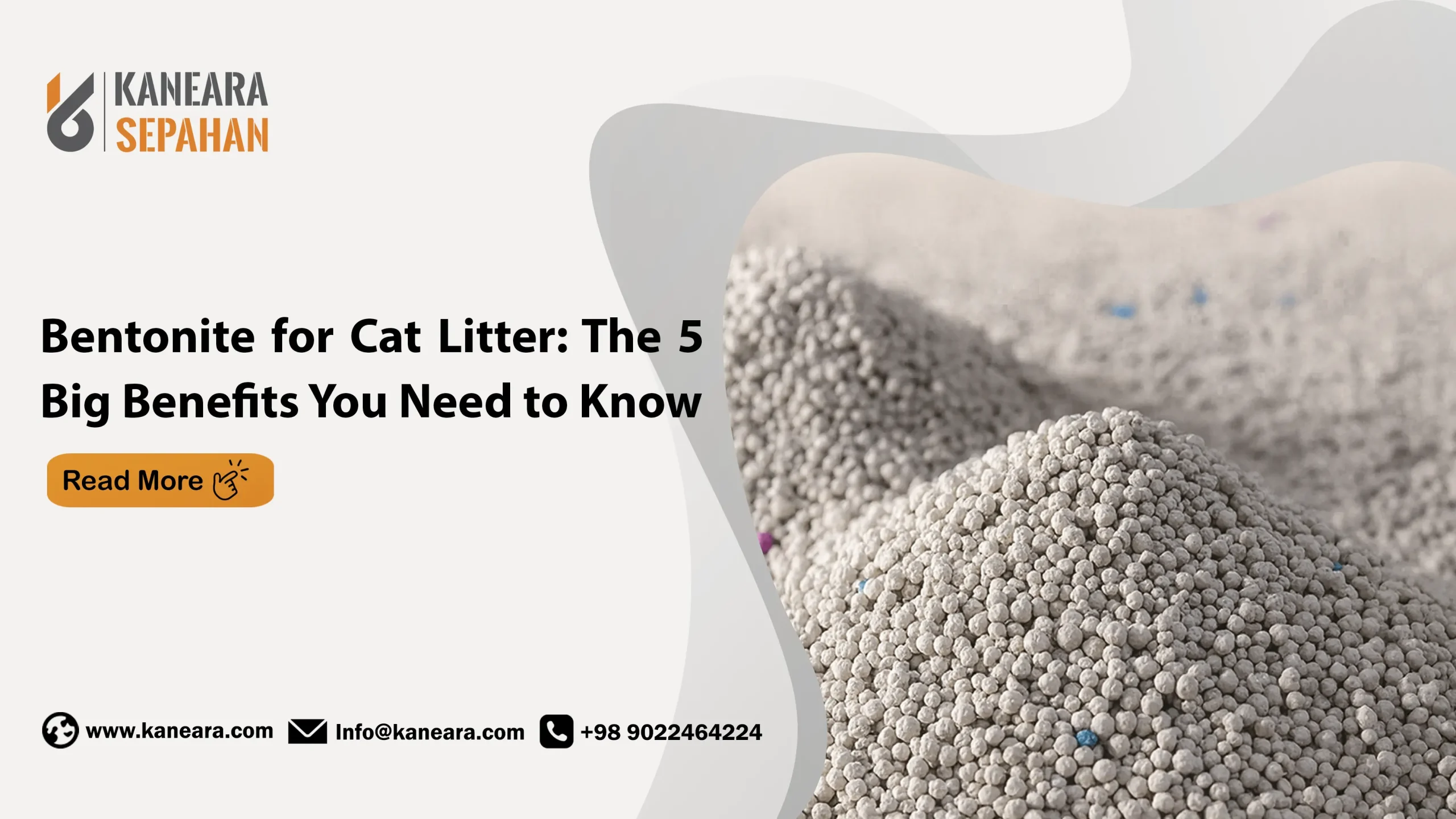 Bentonite for Cat Litter: The 5 Big Benefits You Need to Know