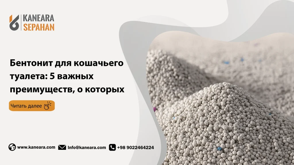 Бентонит для кошачьего туалета: 5 важных преимуществ, о которых вам нужно знать