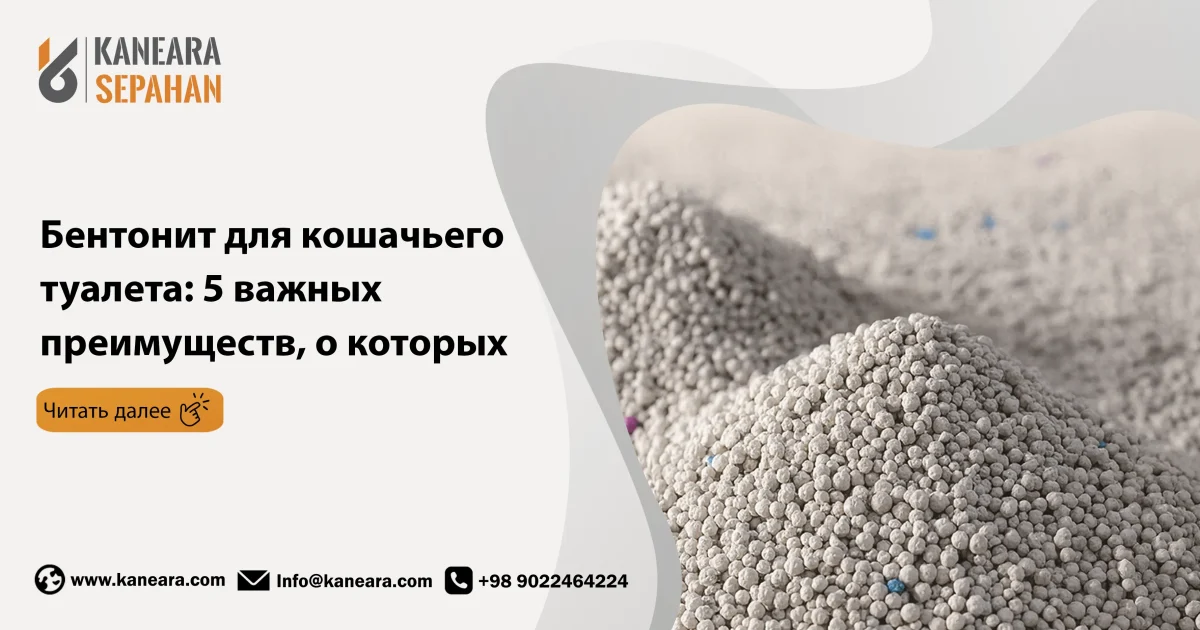 Бентонит для кошачьего туалета: 5 важных преимуществ, о которых вам нужно знать