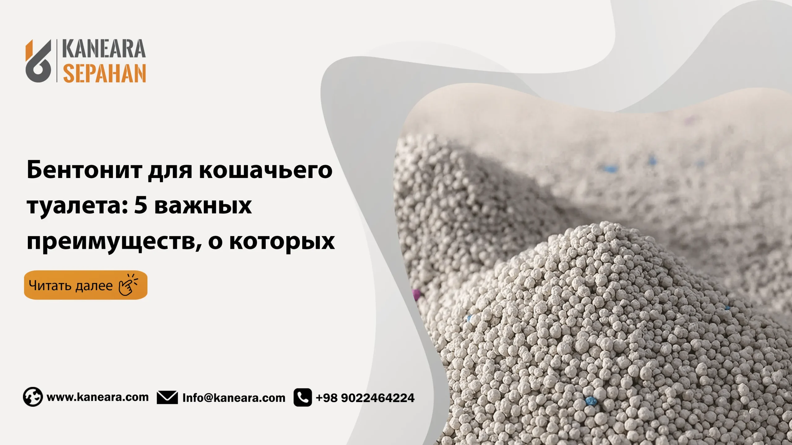 Бентонит для кошачьего туалета: 5 важных преимуществ, о которых вам нужно знать