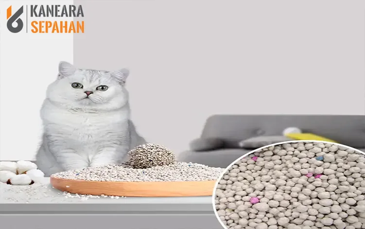 Полезен ли бентонитовый наполнитель для кошачьего туалета?