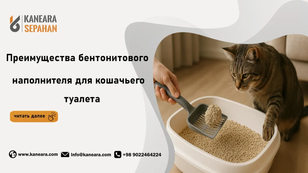 Преимущества бентонитового наполнителя для кошачьего туалета