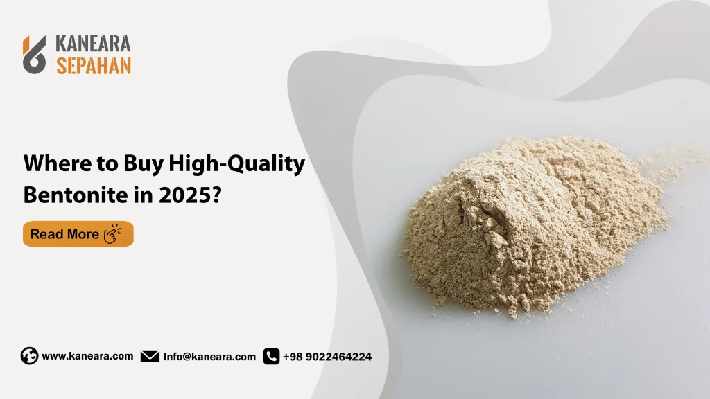 Where to Buy High-Quality Bentonite in 2025?