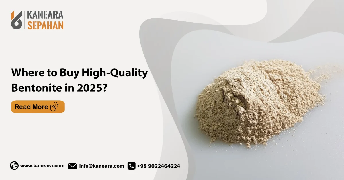 Where to Buy High-Quality Bentonite in 2025?