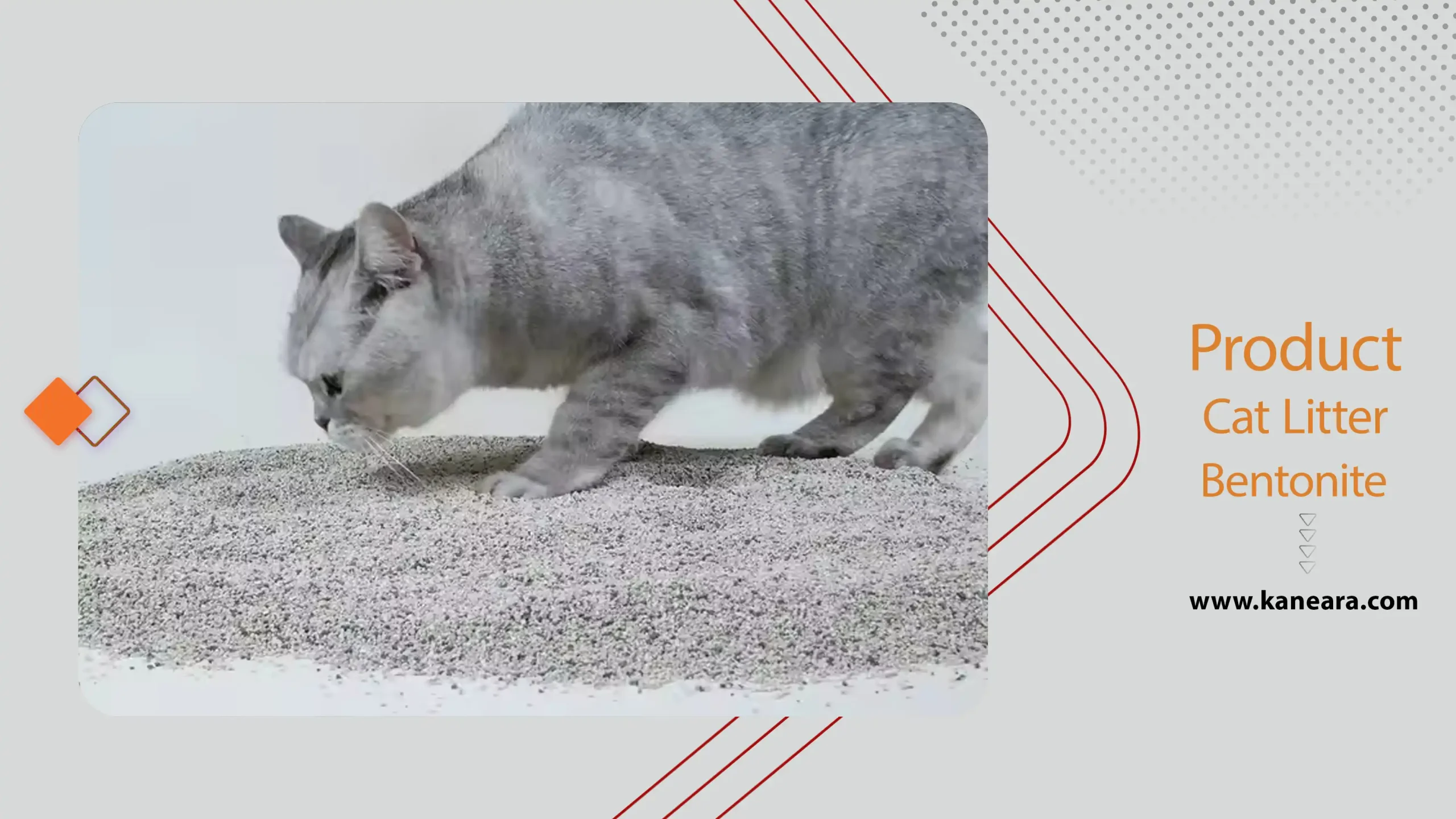 بنتونیت گربه