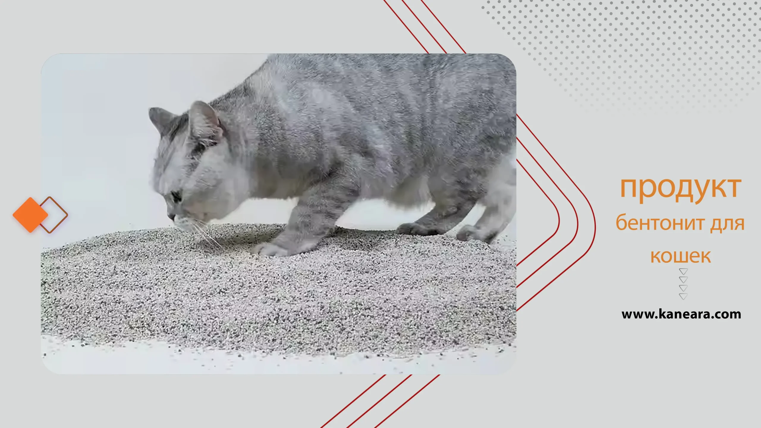 бентонит для кошек