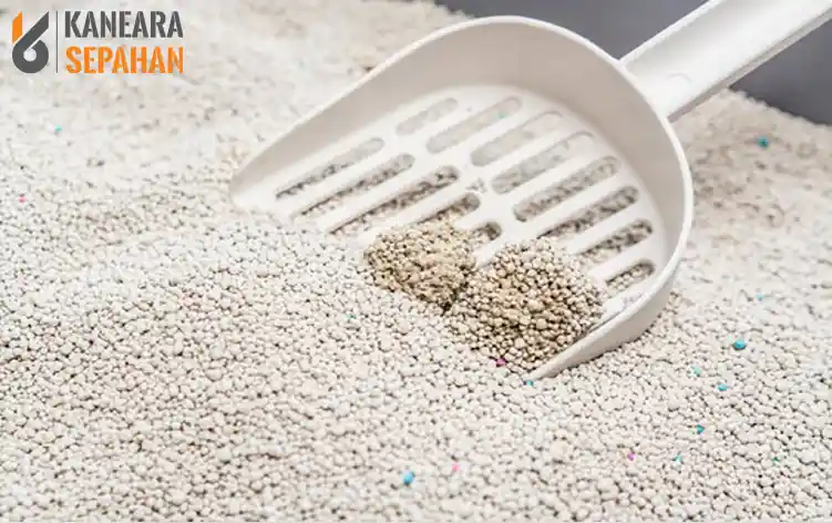 cat bentonite litter