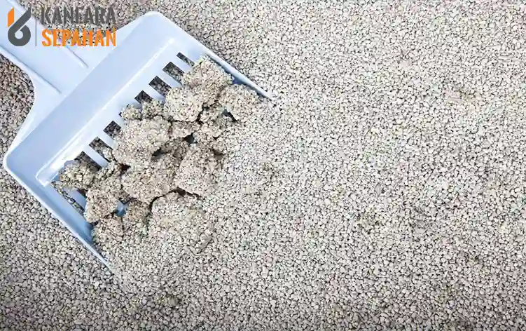 бентонит для кошек