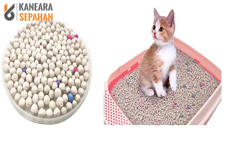 cat litter bentonite