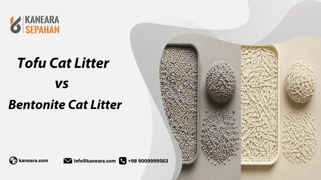 Bentonite vs Tofu Cat Litter
