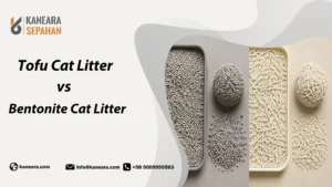 Bentonite vs Tofu Cat Litter