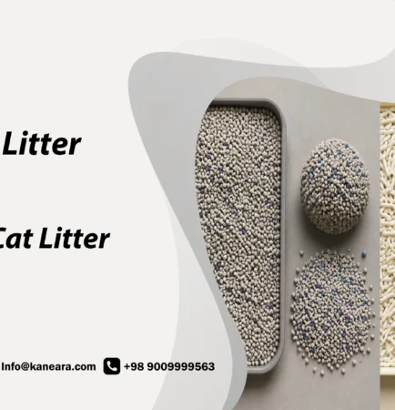 Bentonite vs Tofu Cat Litter