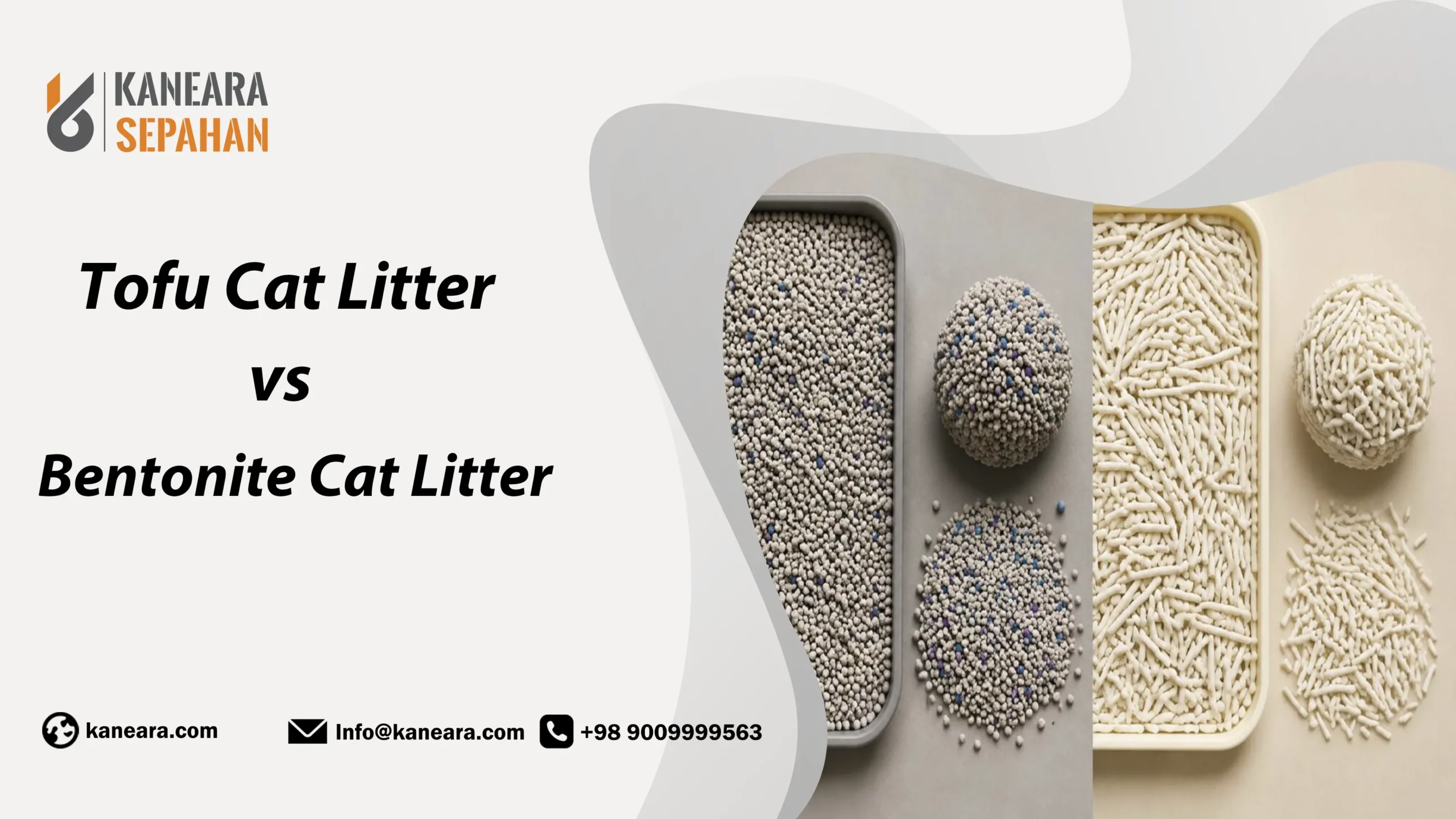Bentonite vs Tofu Cat Litter