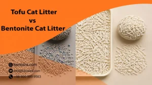 Tofu Cat Litter vs Bentonite Cat Litter