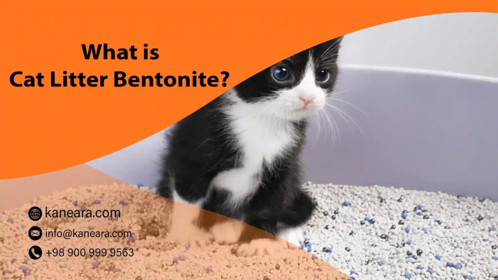 What is Cat Litter Bentonite