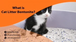 What is Cat Litter Bentonite