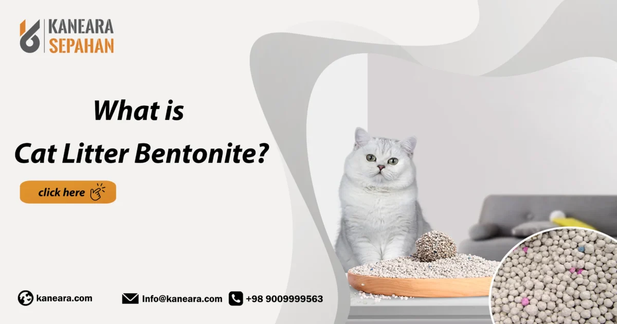 what is bentonite cat litter