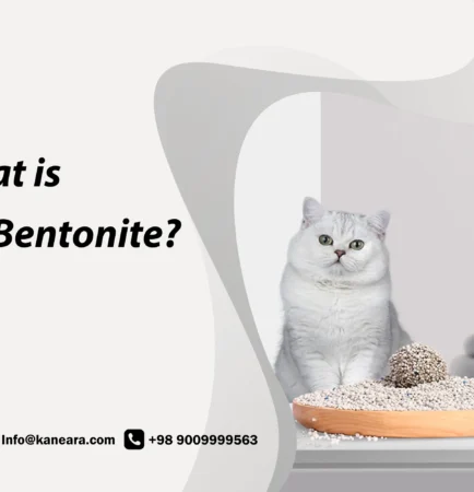 what is bentonite cat litter