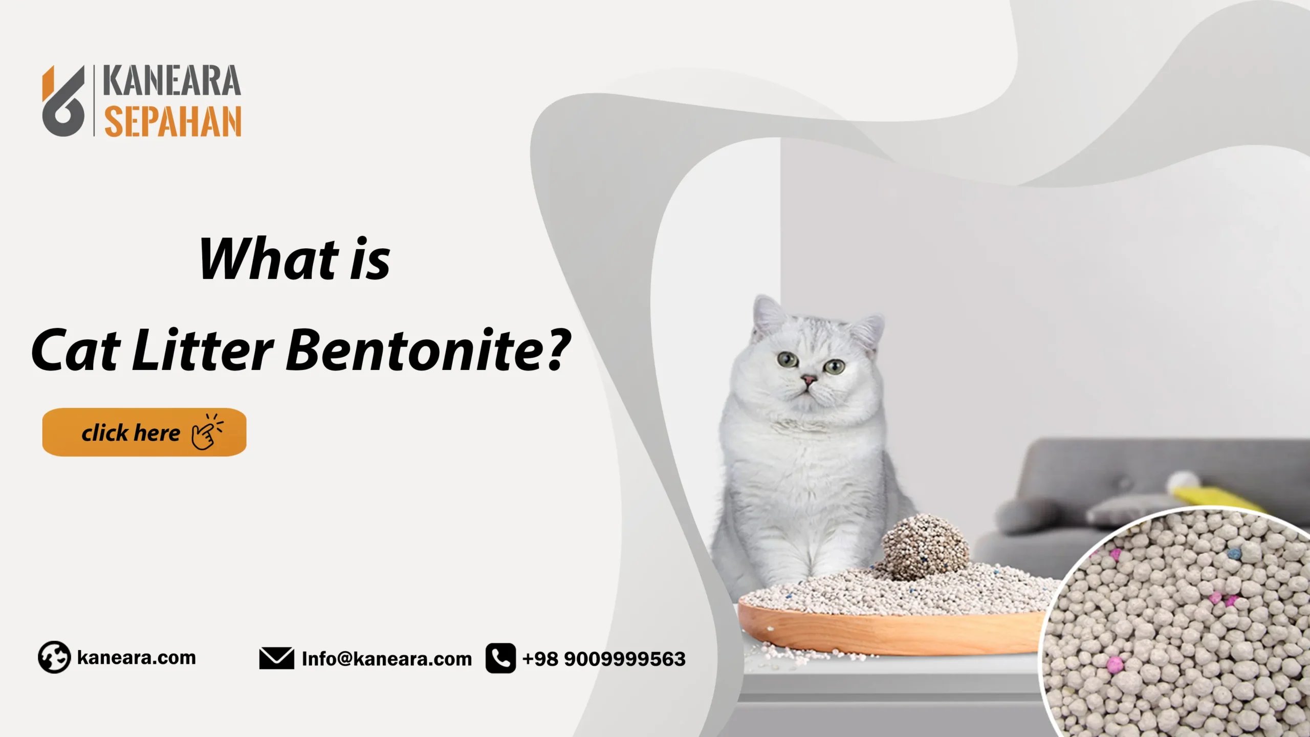what is bentonite cat litter