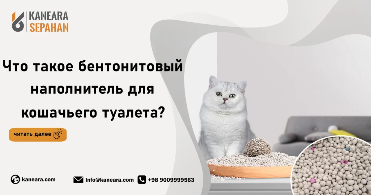 Что такое бентонитовый наполнитель для кошачьего туалета