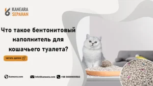 Что такое бентонитовый наполнитель для кошачьего туалета