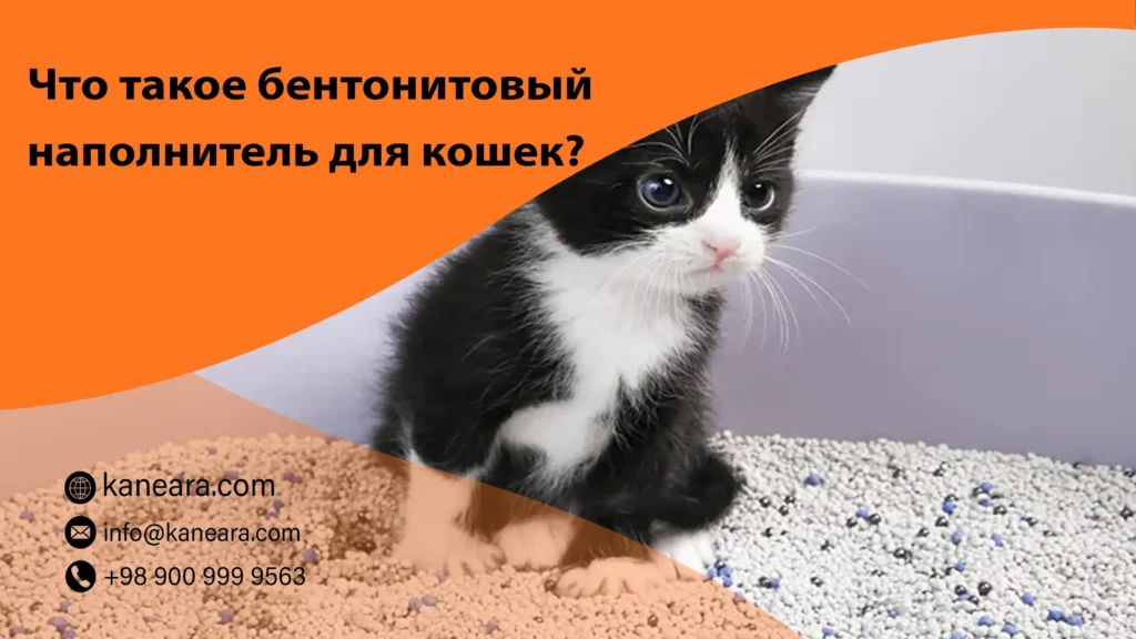 Что такое бентонитовый наполнитель для кошек