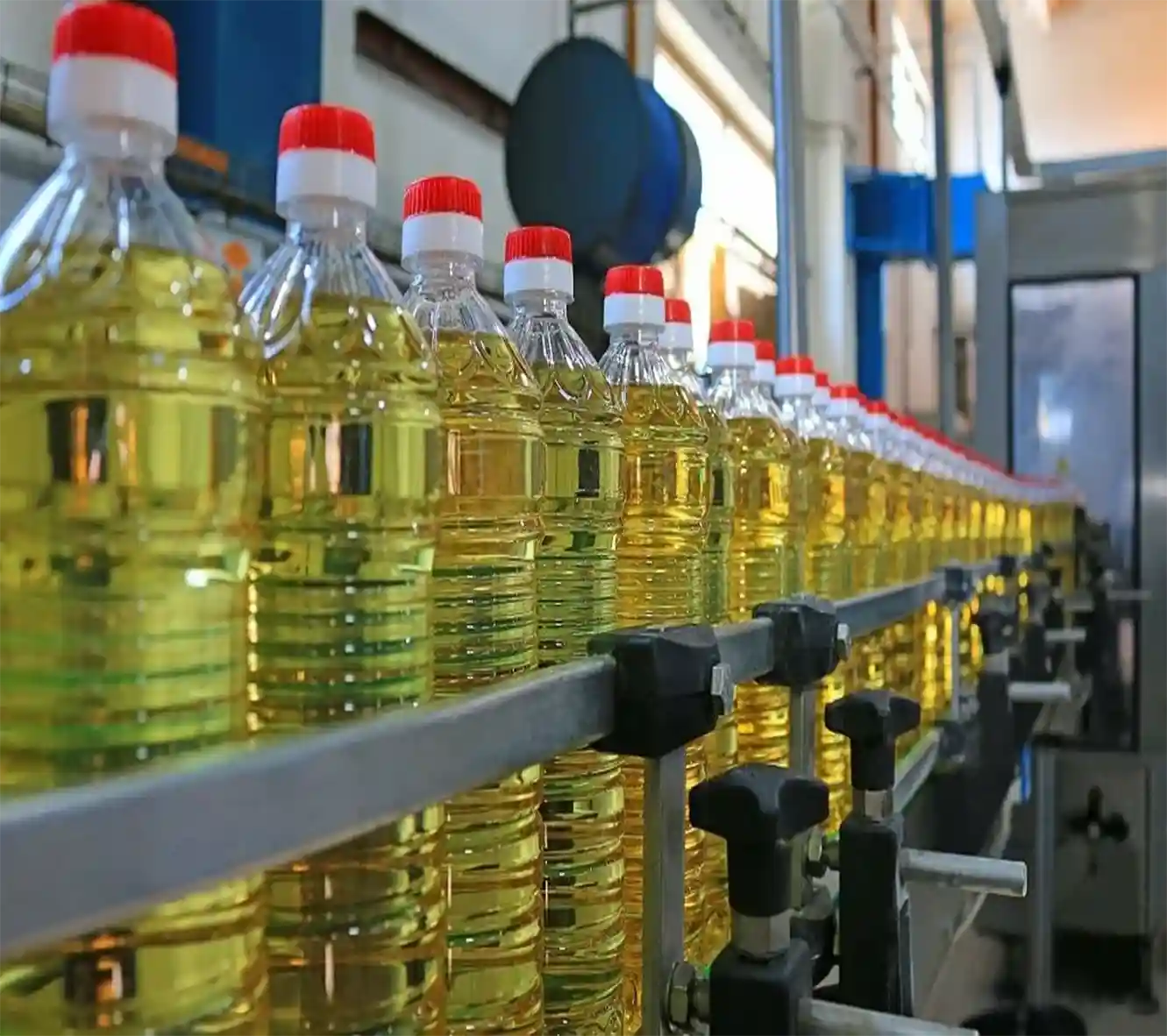 Edible Oil Refining Industry