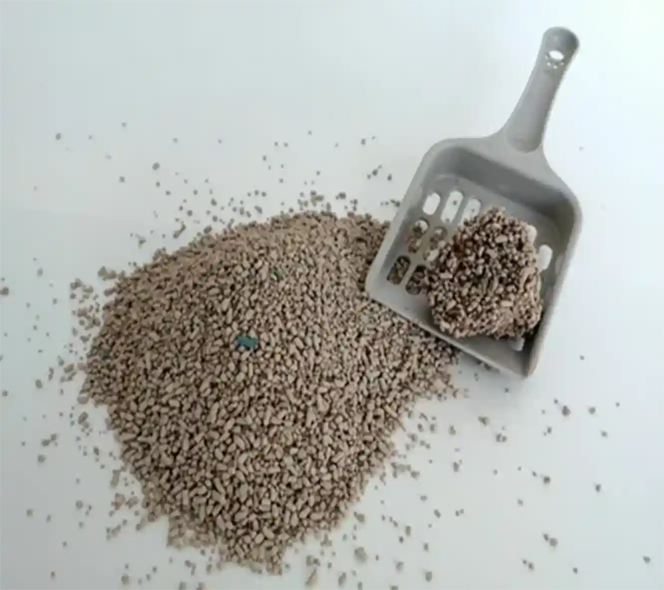 cat litter industry