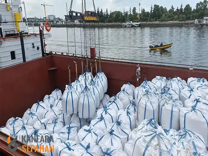 International-Logistics-kaneara.com