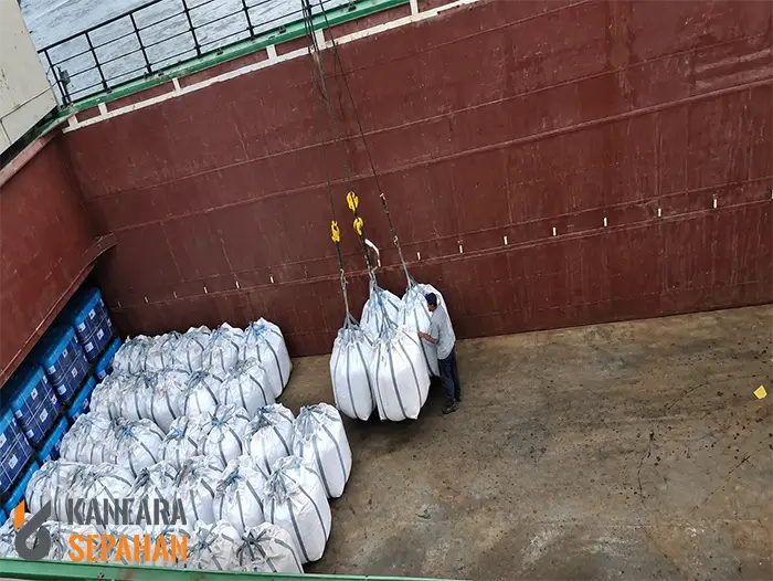 Professional-Export-Logistics-kaneara.com